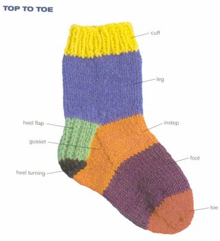 Anatomy of the Sock
